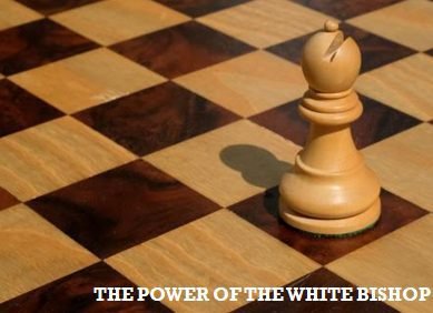 white bishop1, chess blogs
