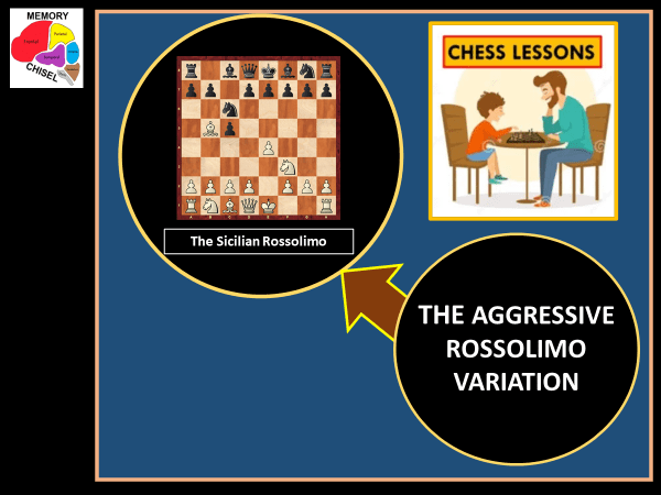 Chess book Dismantling the Sicilian 2