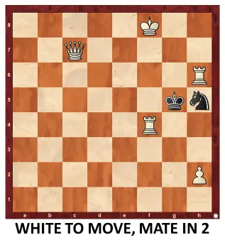 Endgame 160