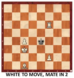 Endgame 176
