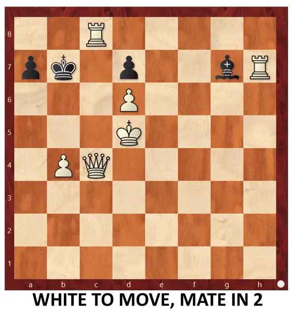 Endgame 197