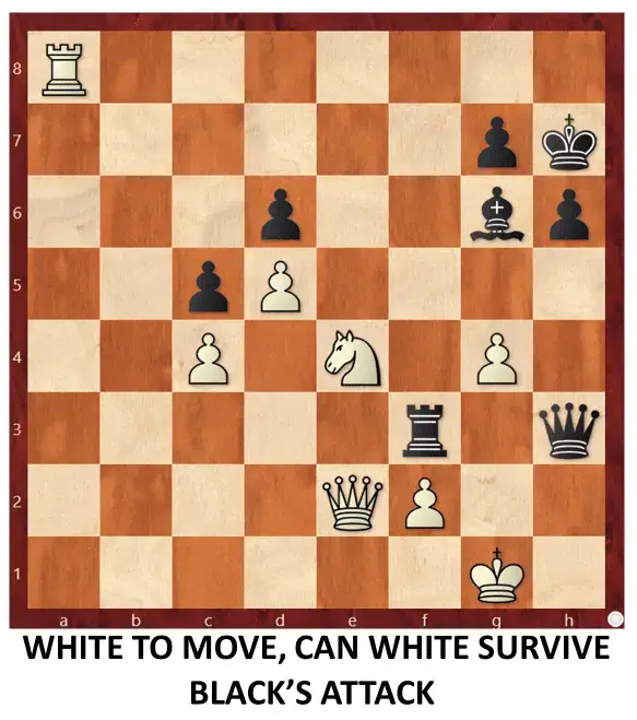 Endgame 199