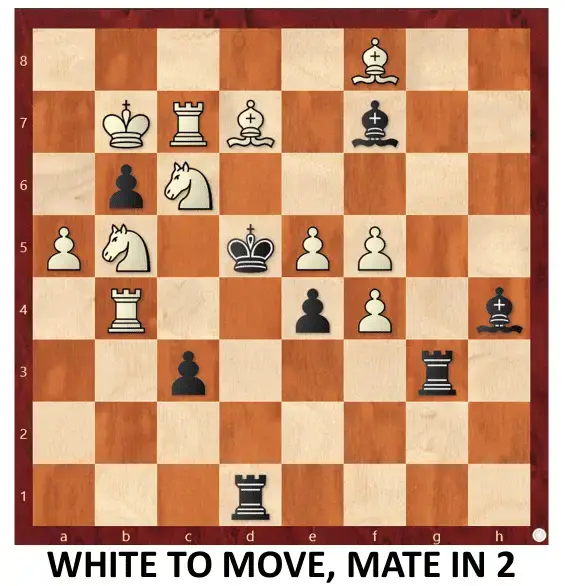 Endgame 213