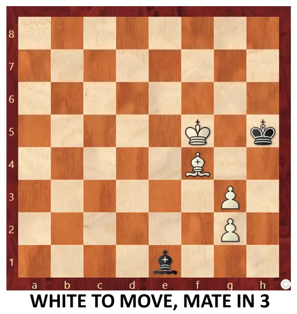 Endgame 214