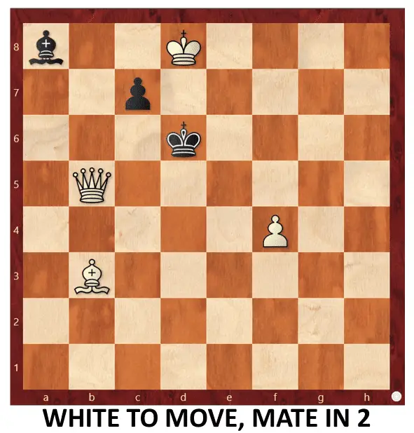 Endgame 220