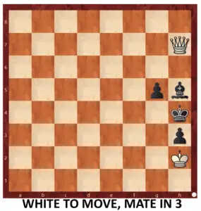 Endgame 291