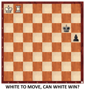 Endgame 310