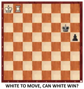 Endgame 310