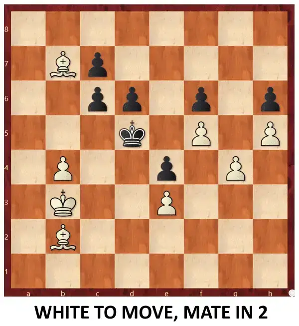 Endgame 372